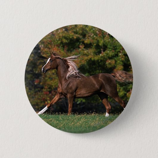 Arabisch paard rijdend in grijsveld ronde button 5,7 cm (Voorkant)