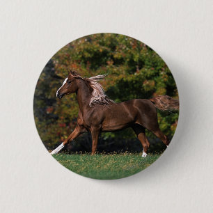 Arabisch paard rijdend in grijsveld ronde button 5,7 cm