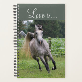 Arabisch paard wekelijks en maandelijks planner