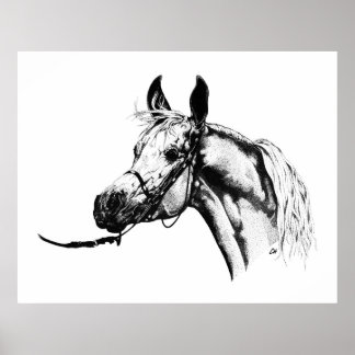 Arabisch portret in Pen & Ink Poster