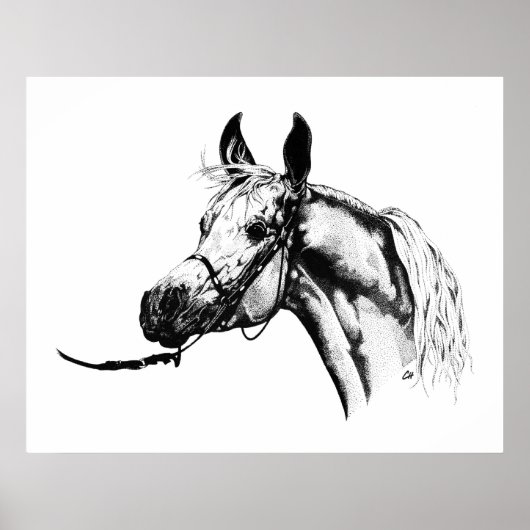 Arabisch portret in Pen & Ink Poster (Voorkant)