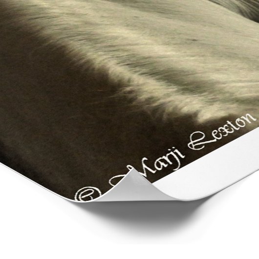 Arabisch Poster (Hoek)