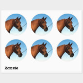 Arabisch Show paard Ronde Sticker (Vel)