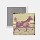 Arabisch trot magneet (Voorkant / Achterkant)