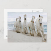 Arabisch uitzicht voor de volksmassa briefkaart (Voorkant / Achterkant)