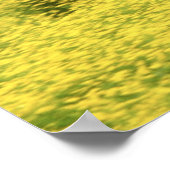 Arabisch veulens en merrie lopen door poster (Hoek)