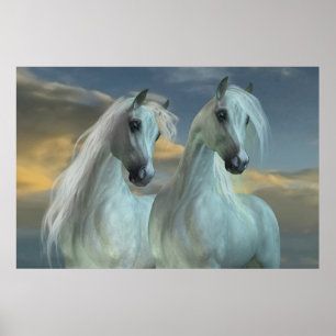 Arabische broeders poster