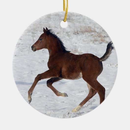 Arabische Foal in de sneeuw Keramisch Ornament (Voorkant)
