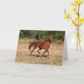 Arabische kastanjebruin, stromend mane en staart kaart (Gele Bloem)