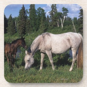 Arabische Mare & Foal 2 Onderzetter