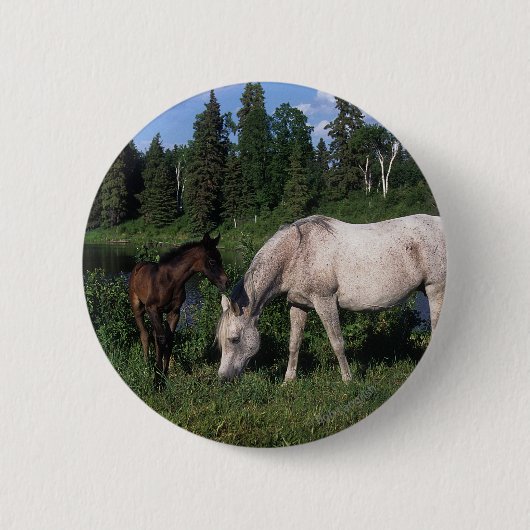 Arabische Mare & Foal 2 Ronde Button 5,7 Cm (Voorkant)