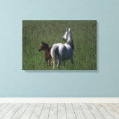 Arabische Mare & Foal Canvas Afdruk (Insitu (Houten vloer))