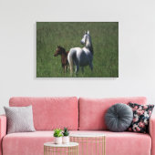 Arabische Mare & Foal Canvas Afdruk (Insitu (Woonkamer))