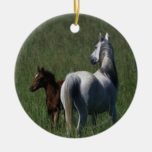 Arabische Mare & Foal Keramisch Ornament (Voorkant)