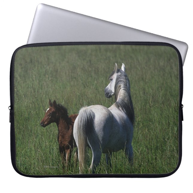 Arabische Mare & Foal Laptop Sleeve (Voorkant)