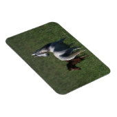 Arabische Mare & Foal Magneet (Rechterzijde)