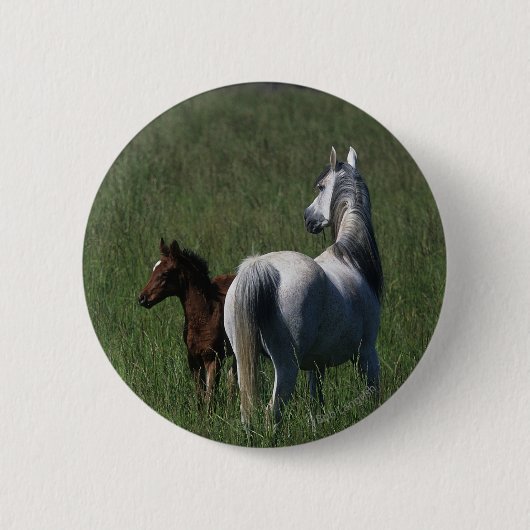 Arabische Mare & Foal Ronde Button 5,7 Cm (Voorkant)