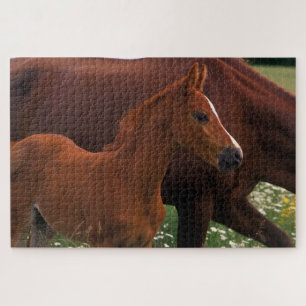 Arabische paard bij moeder legpuzzel