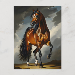 Arabische paard briefkaart