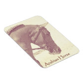 Arabische Paard magneet (Rechterzijde)