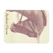 Arabische Paard magneet (Horizontaal)