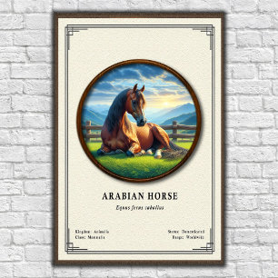 Arabische Paard Zoölogie Serie Poster