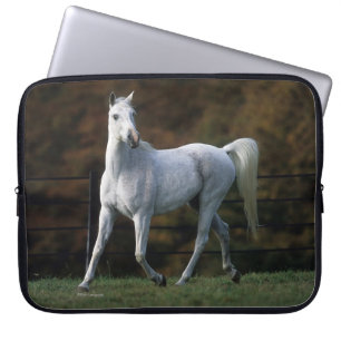 Arabische paarden aan het rijden 1 laptop sleeve