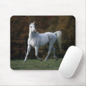Arabische paarden aan het rijden 1 muismat (Met muis)