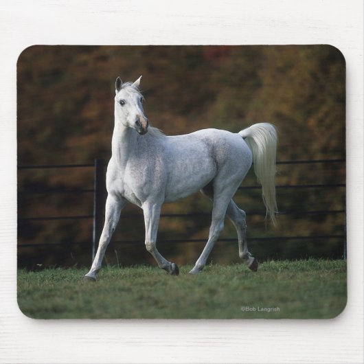 Arabische paarden aan het rijden 1 muismat (Voorkant)