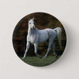 Arabische paarden aan het rijden 1 ronde button 5,7 cm
