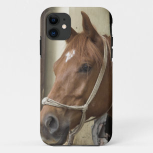 Arabische paarden iPhone 11 hoesje
