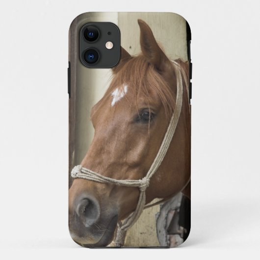 Arabische paarden Case-Mate iPhone case (Achterkant)
