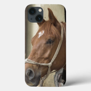 Arabische paarden iPhone 13 hoesje