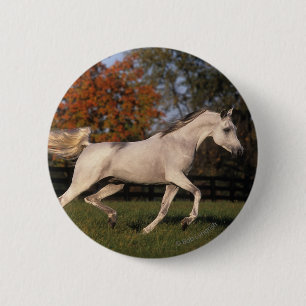 Arabische paarden: herfst. 2 ronde button 5,7 cm