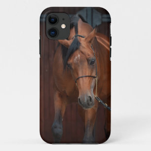 arabische paardenschoonheid. baai iPhone 11 hoesje