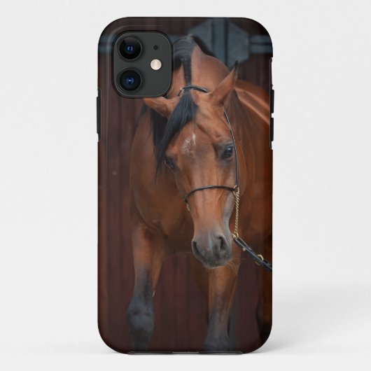 arabische paardenschoonheid. baai Case-Mate iPhone case (Achterkant)