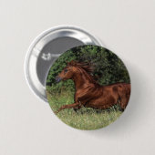 Arabische Stallion in de gras Ronde Button 5,7 Cm (Voorkant /achterkant)