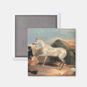 Arabische Stallion Magneet (Voorkant / Achterkant)