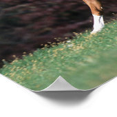 Arabische Stallion stromend mane en staart Poster (Hoek)