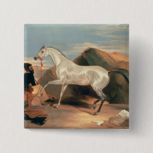 Arabische Stallion Vierkante Button 5,1 Cm