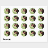 arabische veulens Sticker (Vel)