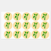 Araceae Productlabel Labels (Vel)