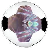 Arachnid Huntsman Spider Fractal Art, (Tourné)