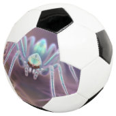 Arachnid Huntsman Spider Fractal Art, (3/4)