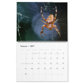 Arachnid Snare Kalender (Feb 2027)