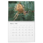 Arachnida Kalender (Feb 2026)