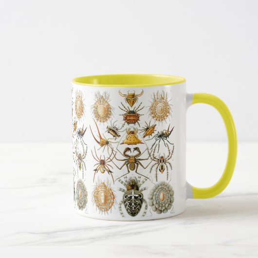Arachnida (Spiders) Ernst Haeckel Fine Art Mok (Rechts)