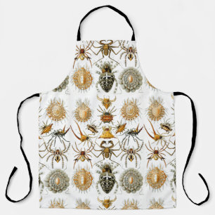 Arachniden door Haeckel spinnenillustratie Schort