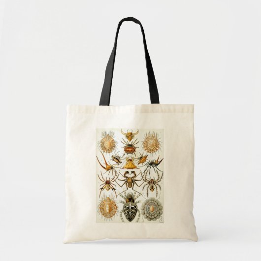 Arachniden van Ernst Haeckel, Spinnen Tote Bag (Voorkant)