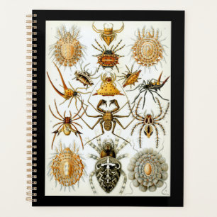 Arachnids van Ernest Haeckel vintage poster Planner